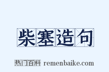 柴塞造句是什么意思的图片